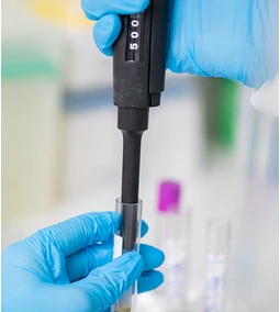 A vezőtképesség jelentősége